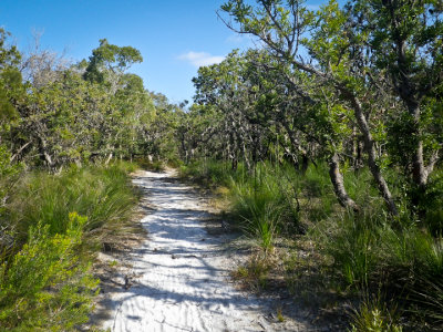 Cooloola and Fraser