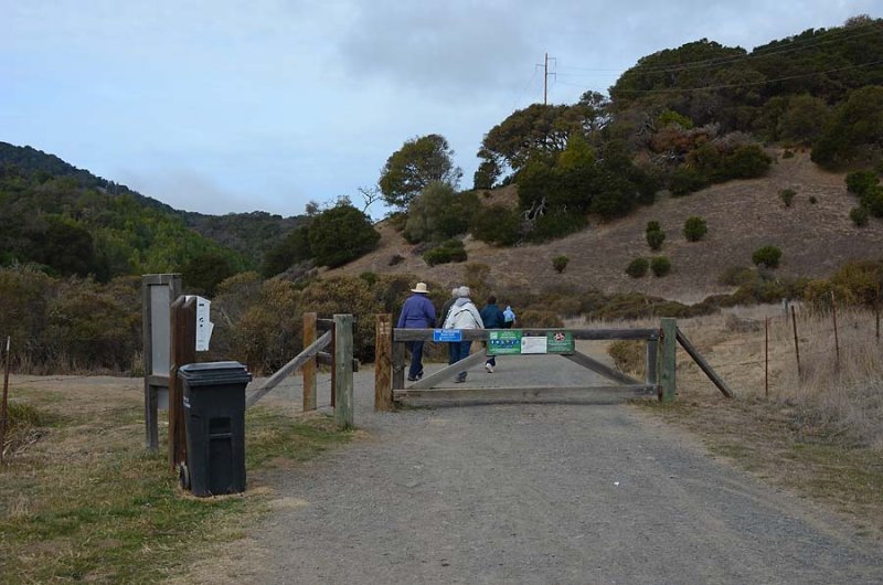 Through the Gate