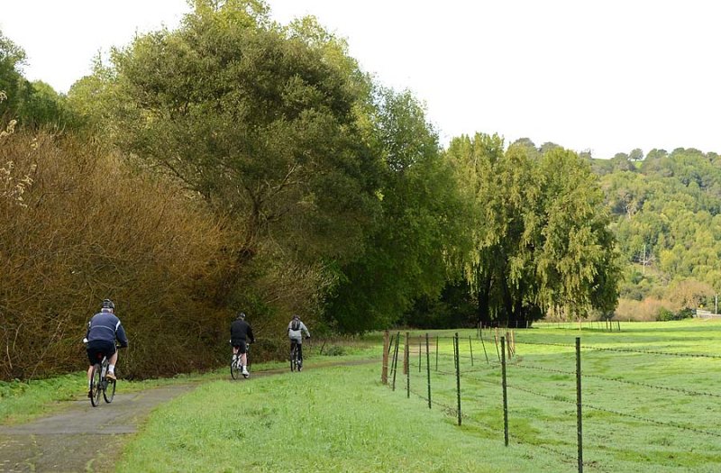 Biking On Curved Path