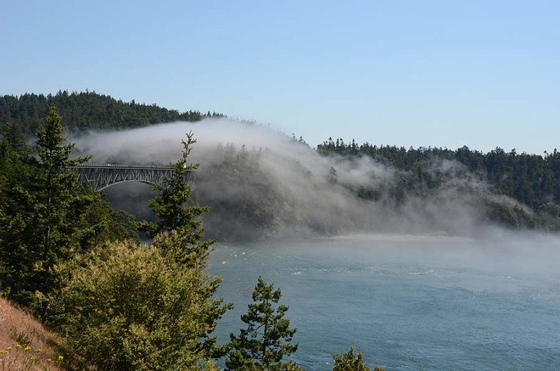 Fog Over the Bridge