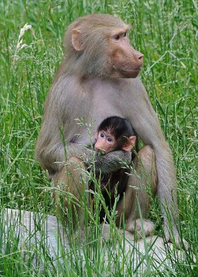 Snuggling with Mom