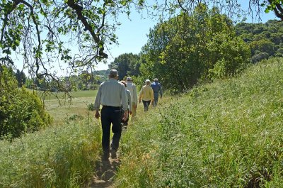 Grassy Hillside Trail