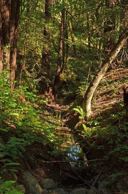 Small Creek