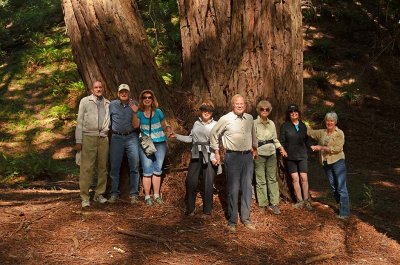 Group Tree Hug