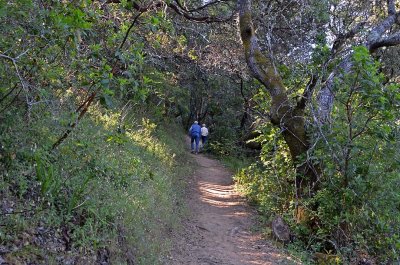 Disappearing Trail
