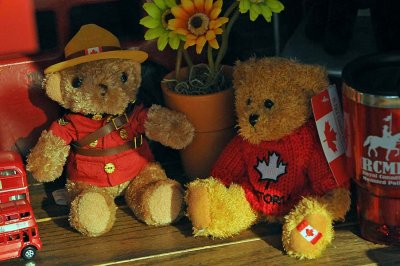 Canada Bears