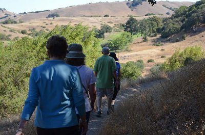 Our Wonderful Marin Hills