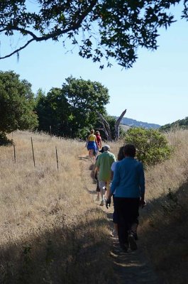 To the Open Hillside
