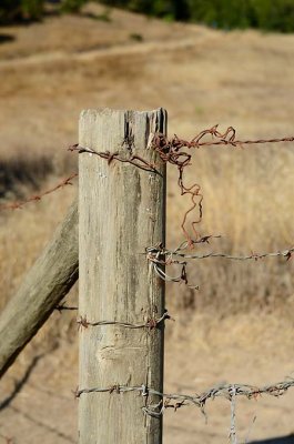 Barbed Wire Post