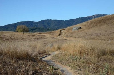 Deer Island - Winding Roads