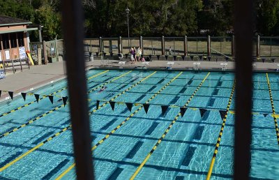 The Pool