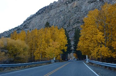 Surrounded By Gold at Silver Lake