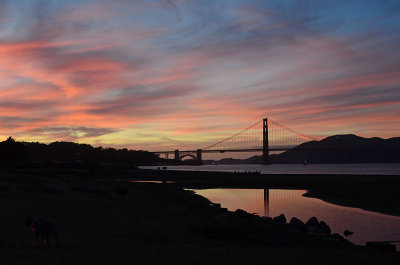 Vibrant Colors at Golden Gate