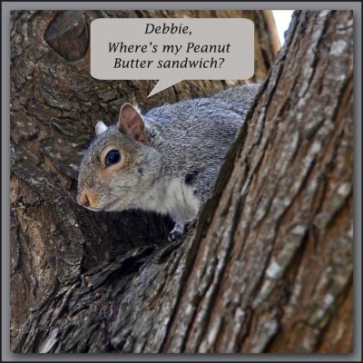 Debbie, where's my Peanut Butter sandwich?