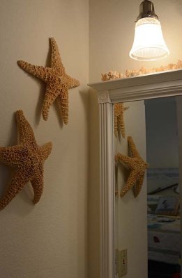 Starfish by Bathroom