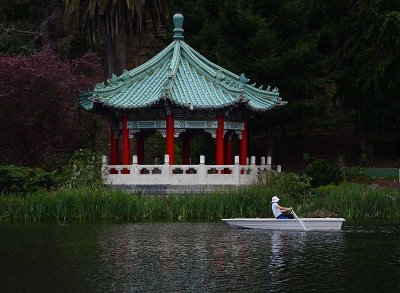 Rowing  by Pagoda