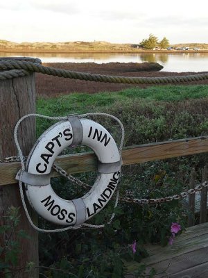 Captain's Inn Life Ring