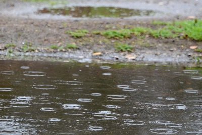2/26/14:  Raindrops in Puddle