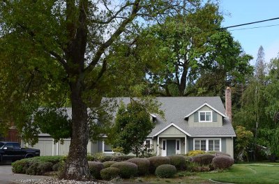 Corner House with Big Tree