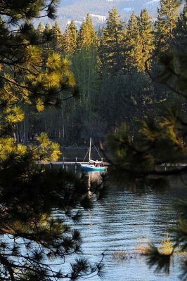 W 592 DockdBoatThrTrs.jpg