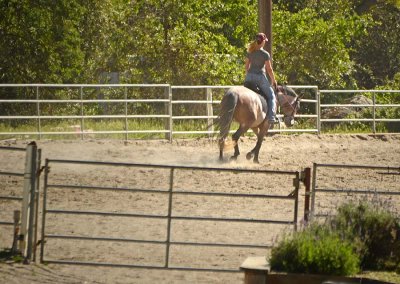Trotting