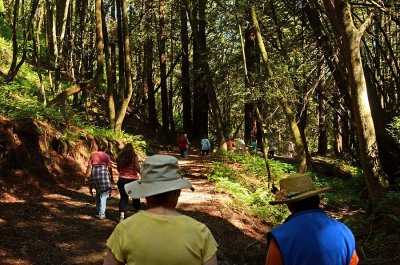 Group on Shaded Path