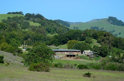 4/16/14: Stables