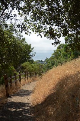 Fenceline to Our Starting Place