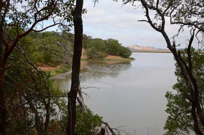 Shoreline View