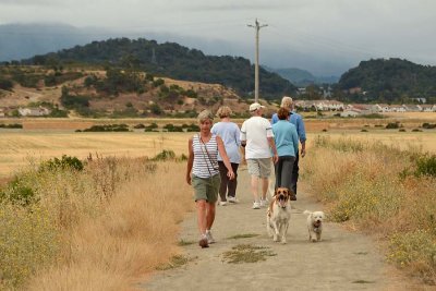 Walking Buddies
