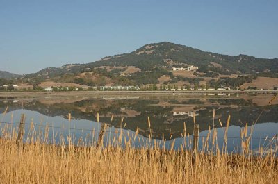 Mt. Burdell Reflected