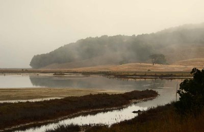 Foggy Creek