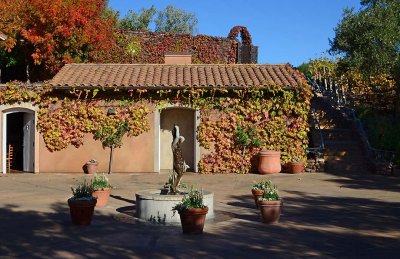 Courtyard Fountain and Ivy