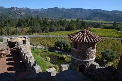 Tower, Moat, and Vineyards