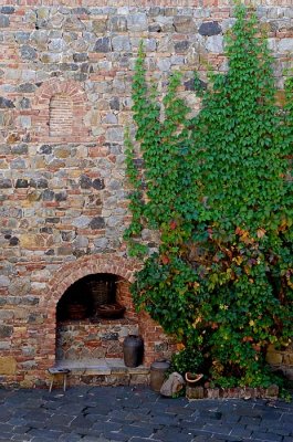 Ivy Leaves in an Alcove