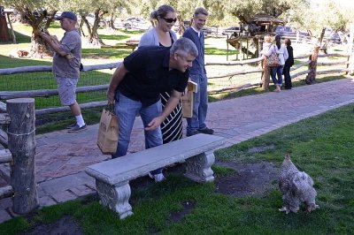 Steve, Jim, Clare, and Chris with Chicken