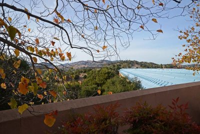 Fall Leaves and Roofline