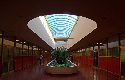 Skylight and Planter Wide Perspective