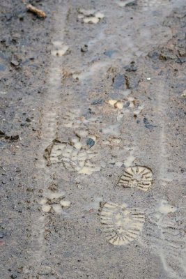 Muddy Footprints