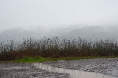 Runoff and Misty Hills