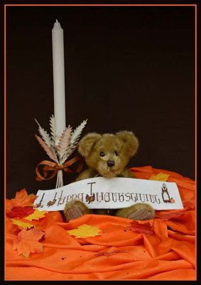 Wishing You a Beary Happy Thanksgiving!