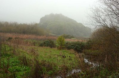 Stream, Meadow and Hill in the Fog
