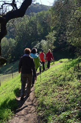Single File on Hillside
