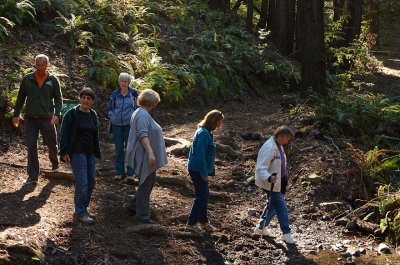 Creek Crossing