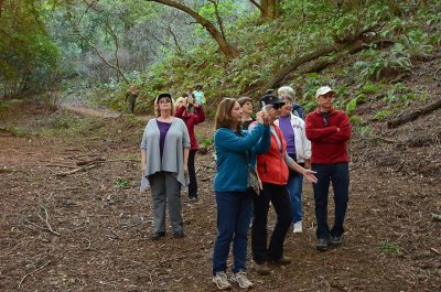 Enjoying the Redwoods