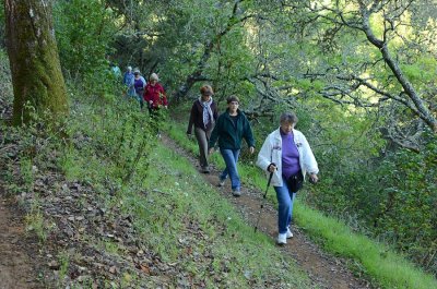 Group On Switchback