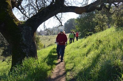 Grassy Hillside Trail