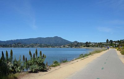 Path and View to Tam