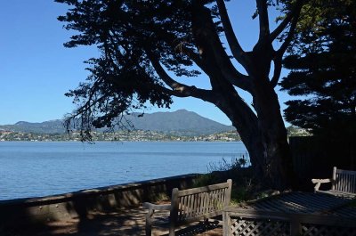 Mt. Tam Framed