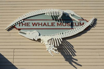 Whale Museum Sign